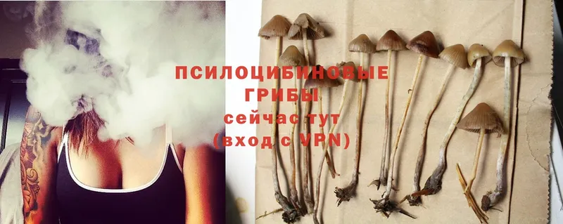 Галлюциногенные грибы Magic Shrooms  Сергач 